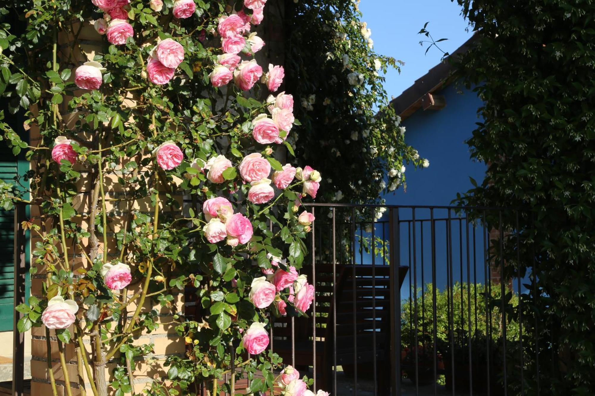 Casa Maria Villa Magliano in Toscana Luaran gambar